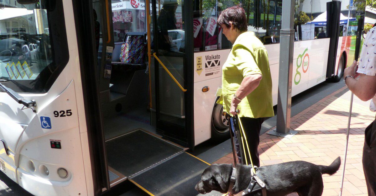 Adult with guide dog stands on footpath next to accessible bus